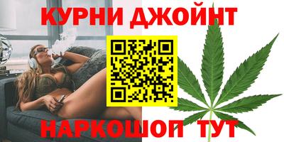 дживик Можга