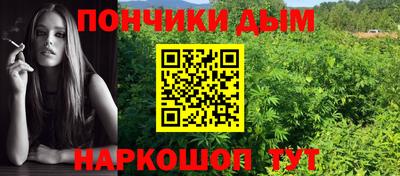 дживик Можга