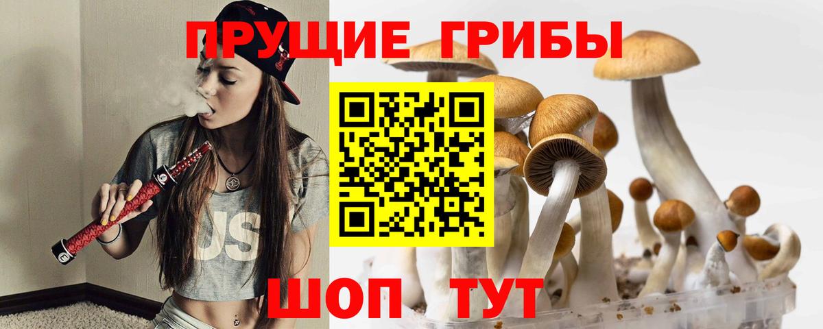 Псилоцибиновые грибы ЛСД Чусовой